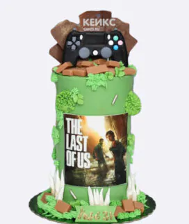 Торт в стиле игры The last of us Фото